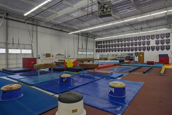 Precision Elite Gymnastics Picture 5