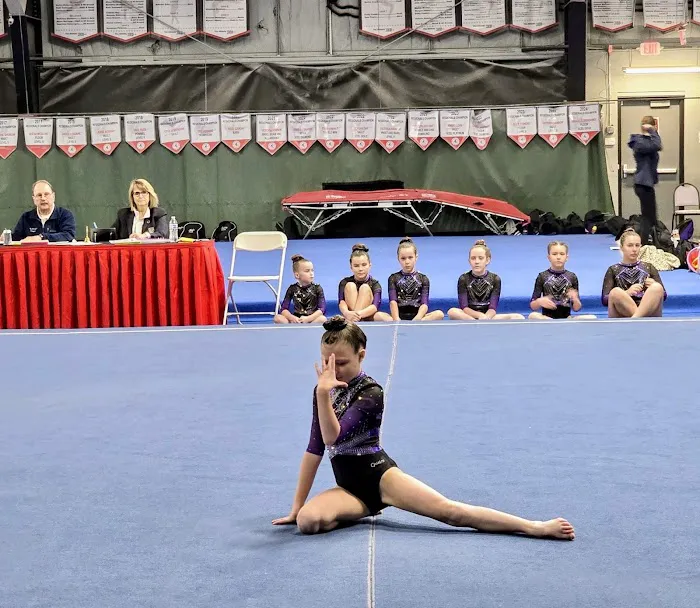 Precision Elite Gymnastics Picture 4