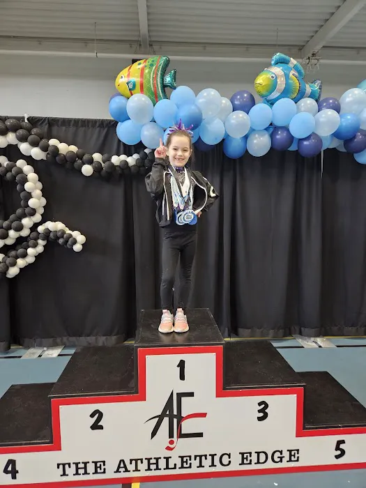 Precision Elite Gymnastics Picture 6