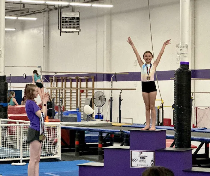 Precision Elite Gymnastics Picture 3