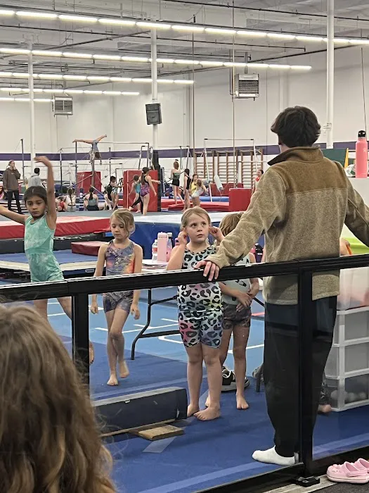 Precision Elite Gymnastics Picture 8