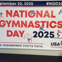 Precision Elite Gymnastics ico