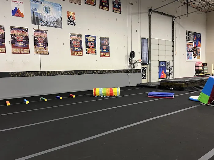 Thunder Elite All-Star Cheerleading Inc. (Tumbling and training center) Picture 8