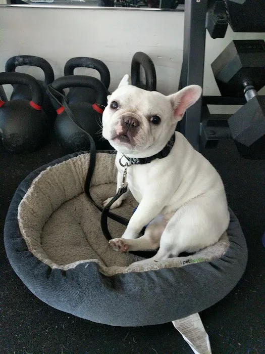 Iron Mecca Picture 5