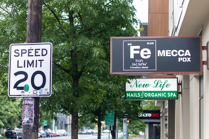 Iron Mecca Picture 6