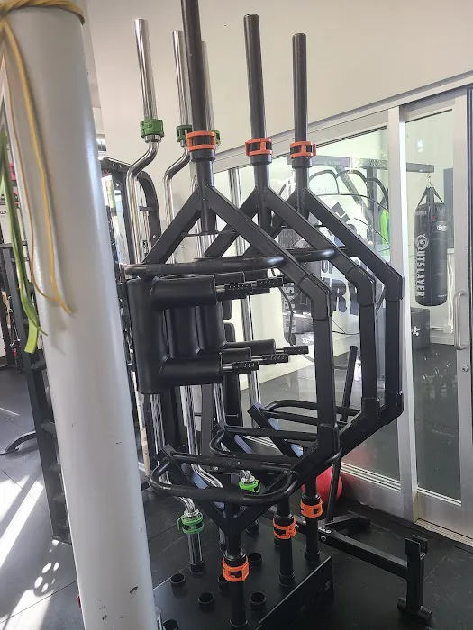 All Bodies Strong Picture 10