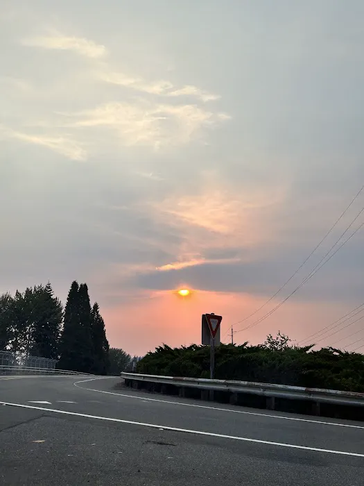 Rigert Elite Gymnastics Picture 5