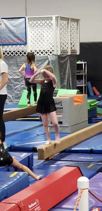 Rigert Elite Gymnastics Picture 4