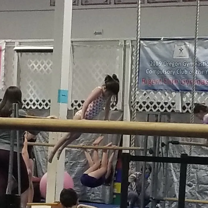 Rigert Elite Gymnastics Picture 6