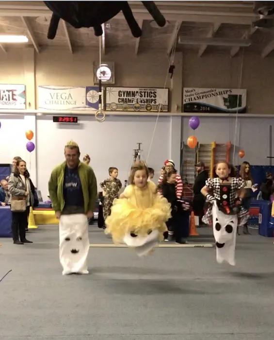 Vancouver Elite Gymnastics Academy VEGA Picture 2