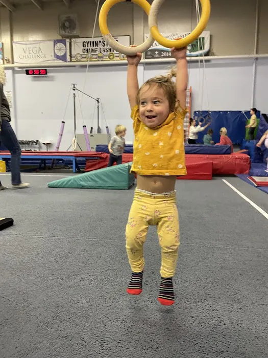 Vancouver Elite Gymnastics Academy VEGA Picture 5