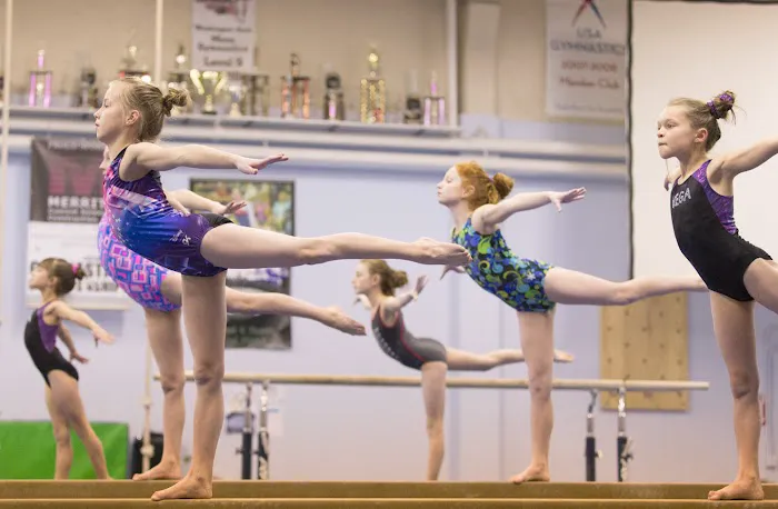 Vancouver Elite Gymnastics Academy VEGA Picture 3