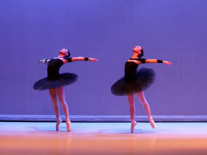 Vancouver Elite Gymnastics Academy VEGA Picture 6