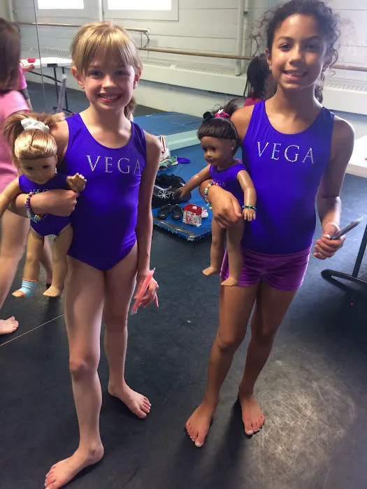 Vancouver Elite Gymnastics Academy VEGA Picture 1