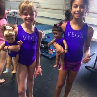 Vancouver Elite Gymnastics Academy VEGA ico