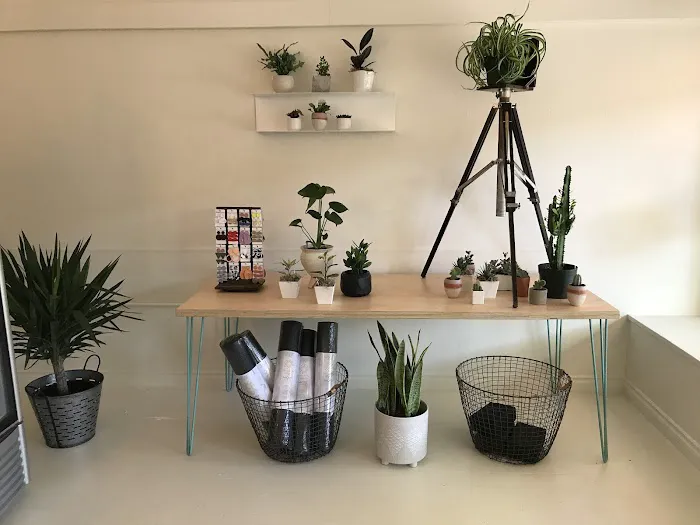 Camas Yoga & Co Picture 1