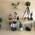 Camas Yoga & Co