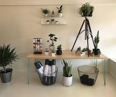 Camas Yoga & Co