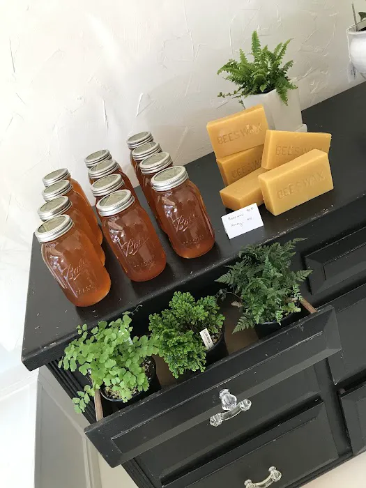 Camas Yoga & Co Picture 4