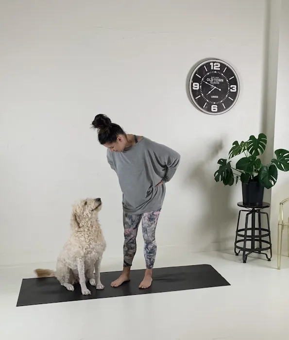 Camas Yoga & Co Picture 8