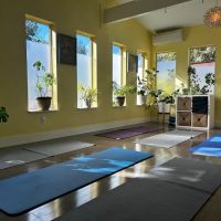 Living Yoga Mindful Dying ico