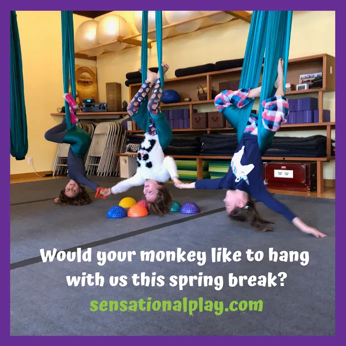 Sensational Play LLC Picture 5