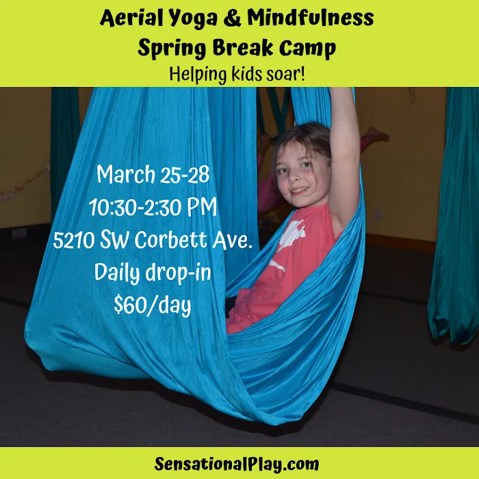 Sensational Play LLC Picture 7