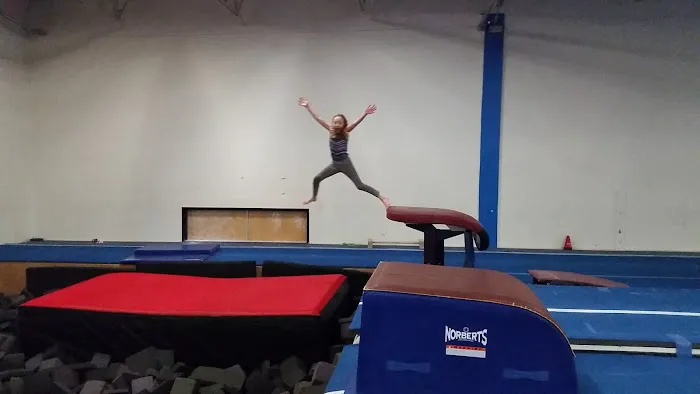 SWAG Gymnastics Picture 2