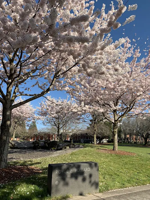 Thompson Fitness Center Picture 1