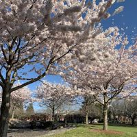 Thompson Fitness Center ico