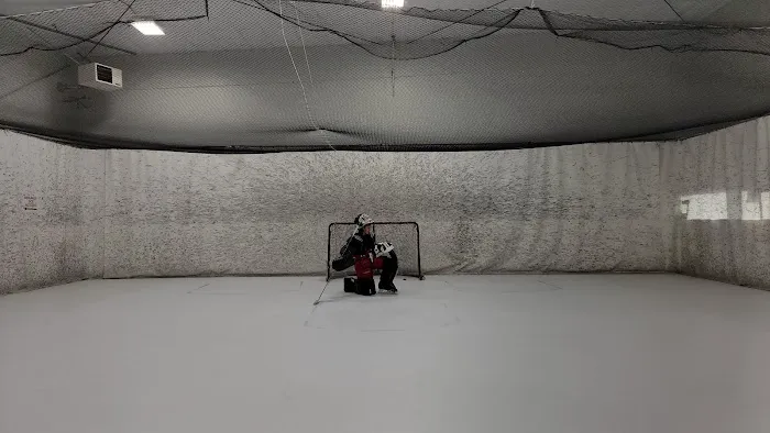 Challenge Hockey Picture 1