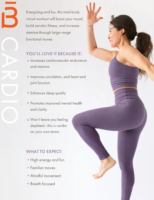 barre3 Picture 6