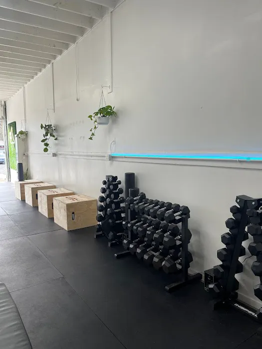 Live Well Fitness Picture 4