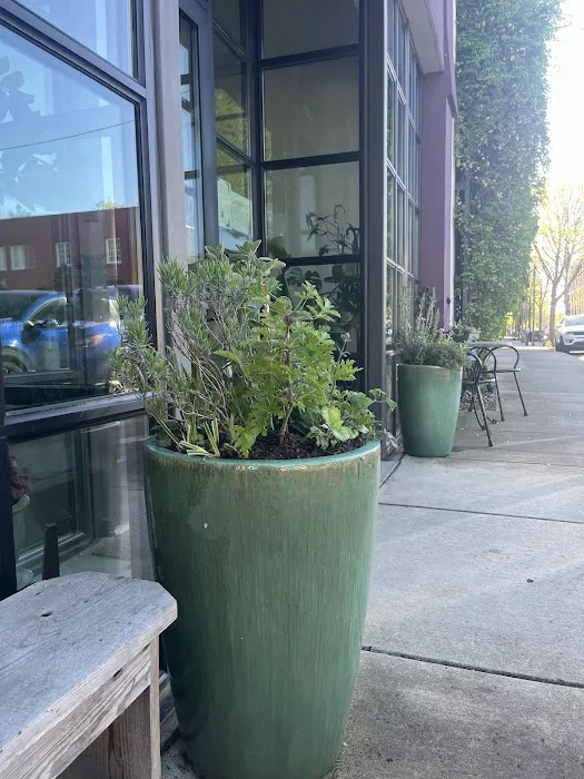 Washougal Yoga and Wellness Picture 1