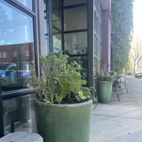 Washougal Yoga and Wellness ico