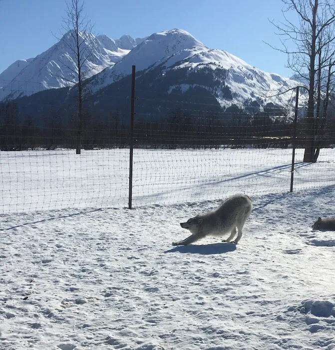 Yoga On Yamhill Picture 5