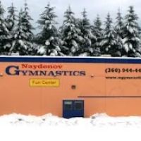 Naydenov Competitive Team ico