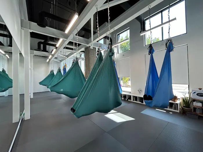 FlightFORM Fitness | Lagree Fitness + AntiGravity Aerial Yoga & Fitness Picture 1