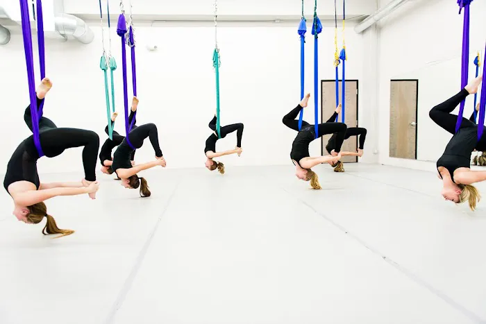 FlightFORM Fitness | Lagree Fitness + AntiGravity Aerial Yoga & Fitness Picture 7