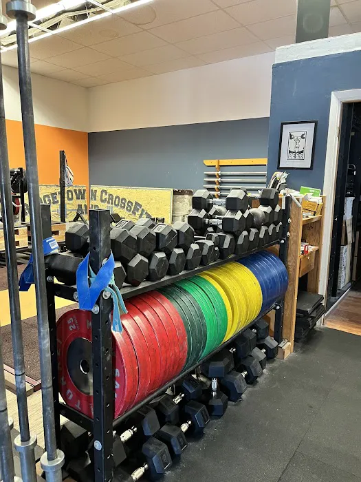 Bridgetown CrossFit and Barbell Club Picture 3