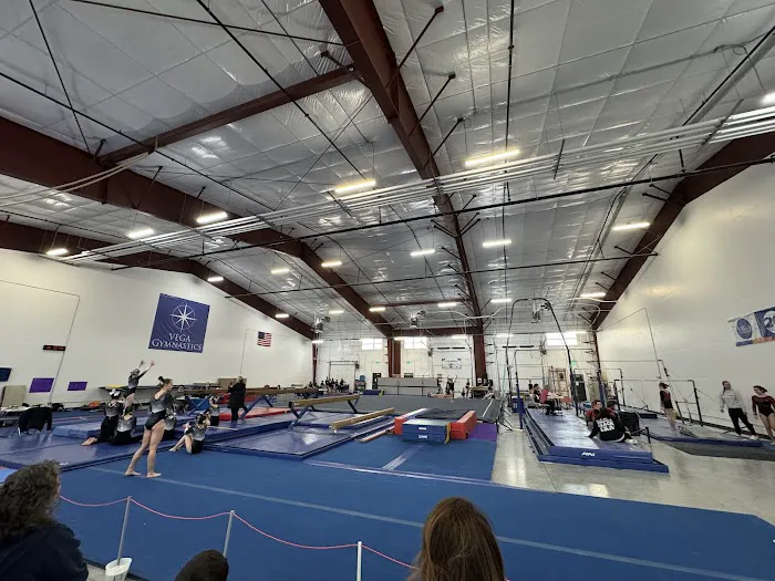 Vancouver Elite Gymnastics Academy Picture 1