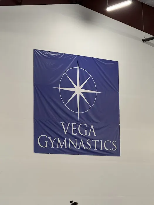 Vancouver Elite Gymnastics Academy Picture 2