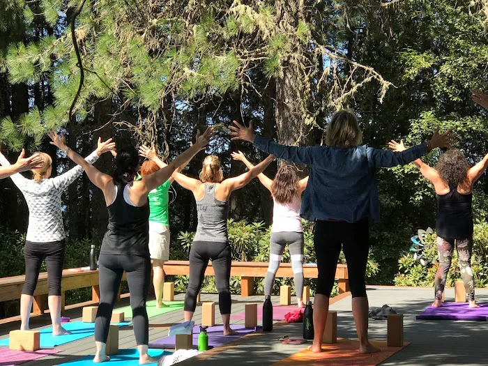 Imagine Yoga Studio Picture 7