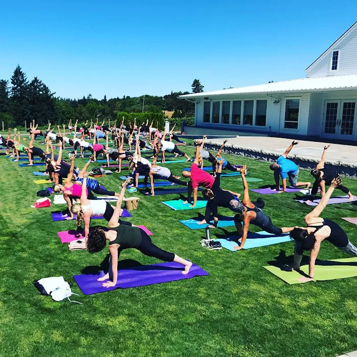 Imagine Yoga Studio Picture 4