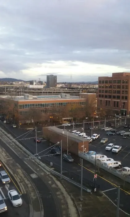 Falcon Building Picture 4