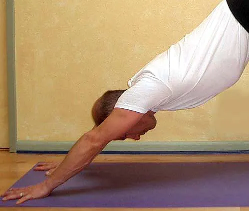 Still Moving Yoga Picture 2