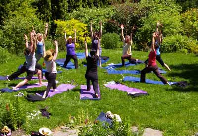 Still Moving Yoga Picture 1