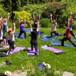 Still Moving Yoga