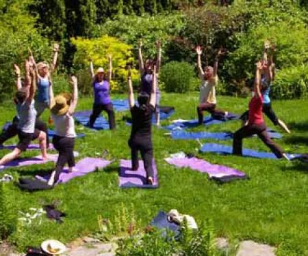 Still Moving Yoga