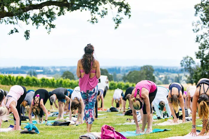 YoYoYogi Yoga Studio Picture 3